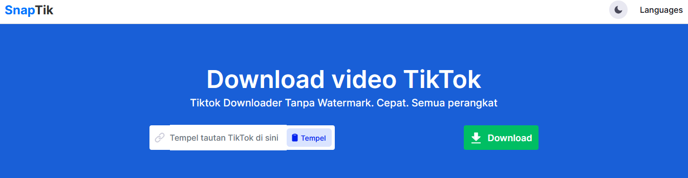 Download Video TikTok Menggunakan Situs Snaptik