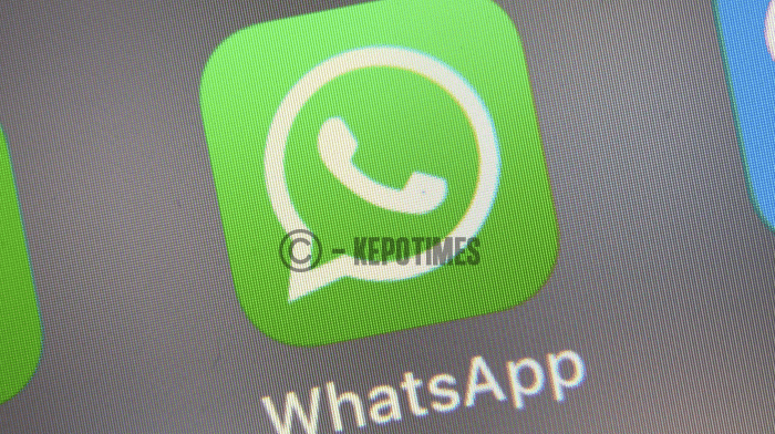 WhatsApp Mempermudah Panggilan dengan Fitur Bar Panggilan